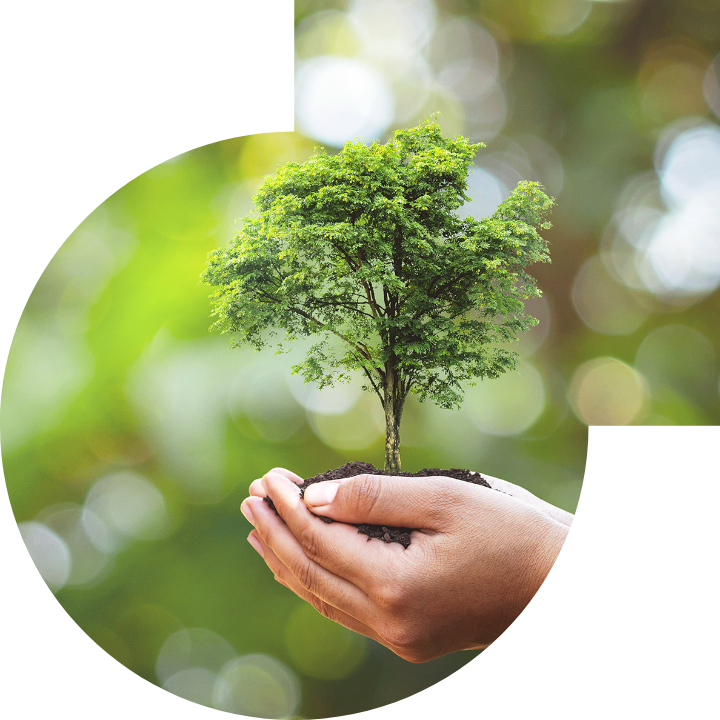 关怀人类、文化、环境与社会